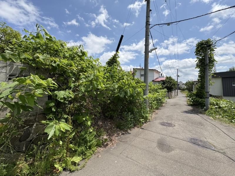 228.51 sqm Land for Sale in Minami-ku, Sapporo - Thumbnail 3