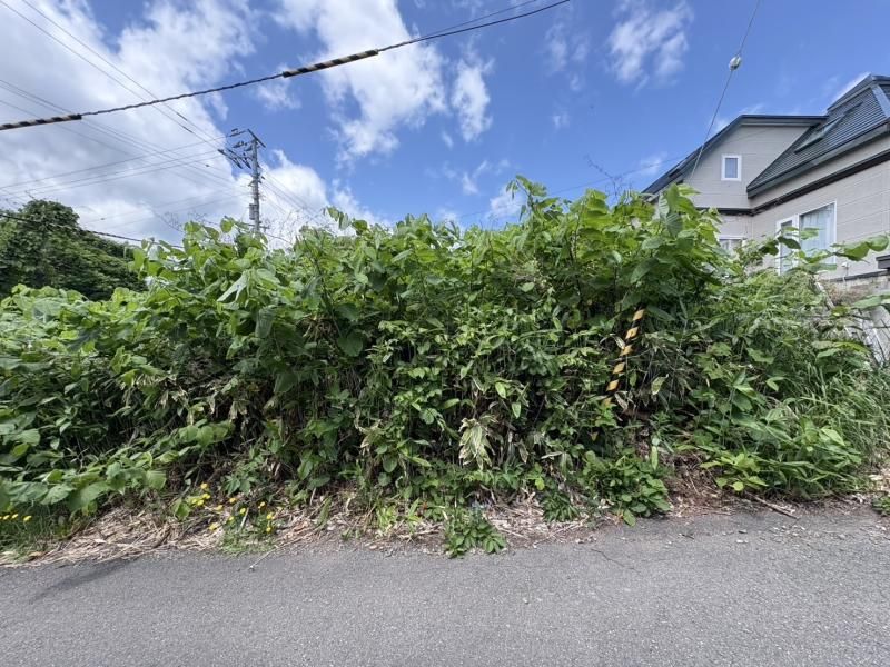 228.51 sqm Land for Sale in Minami-ku, Sapporo - Thumbnail 2