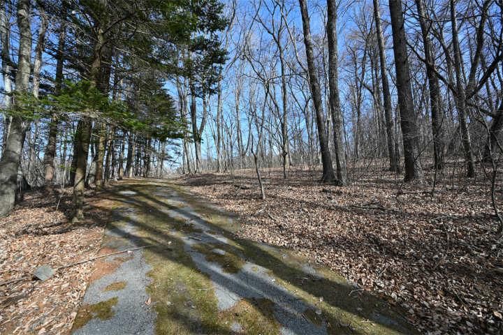 2,212sqm Land for Sale in Karuizawa, Nagano - Thumbnail 4
