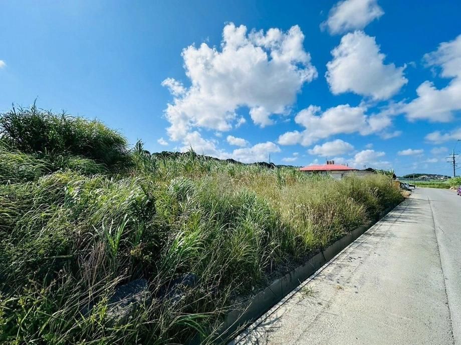 2,033 sqm Land for Sale in Yaese, Okinawa - 59.8 Million Yen - Thumbnail 4