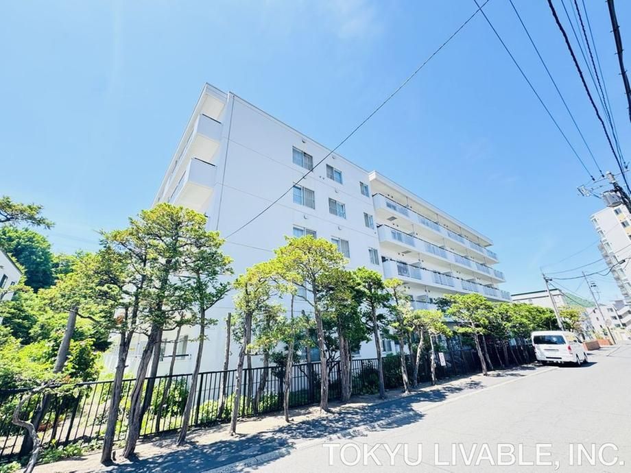 Renovated 2LDK Apartment for Sale in Sapporo Chuo Ward - Thumbnail 3