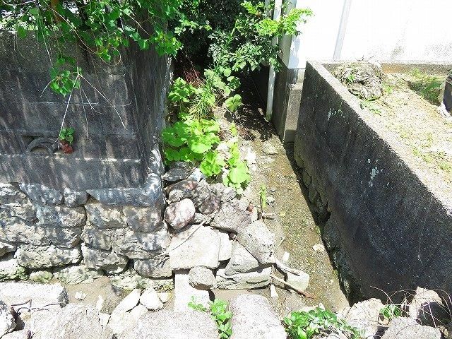 Land for Sale in Godaisan, Kochi City - 439.29 sqm - Thumbnail 4