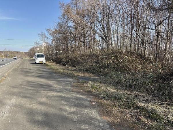 Land for Sale in Kitahiroshima, Hokkaido - 4954m2 Plot - Thumbnail 4