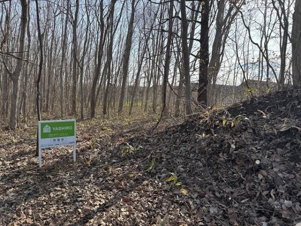 Land for Sale in Kitahiroshima, Hokkaido - 4954m2 Plot - Thumbnail 3