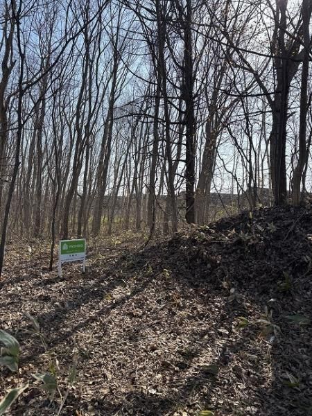 Land for Sale in Kitahiroshima, Hokkaido - 4954m2 Plot - Thumbnail 2