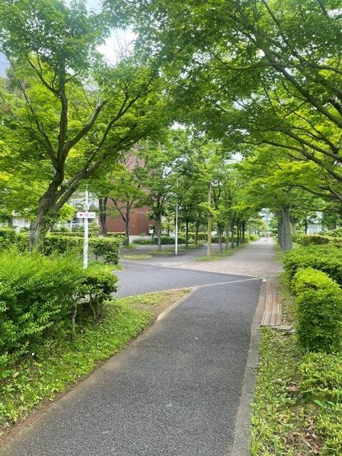 3LDK 80.91m2 Corner Apartment for Sale in Midori-ku, Saitama - Thumbnail 3