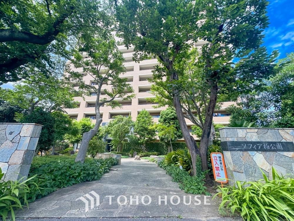 Spacious 4LDK Apartment with Roof Balcony in Kashiwa, Chiba - Thumbnail 2