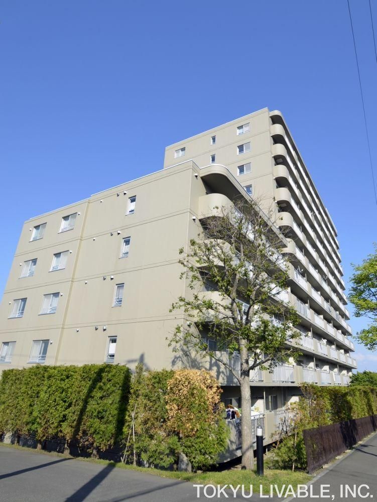 Renovated 3LDK Apartment in Teine, Sapporo - 79.75m2 - Thumbnail 3