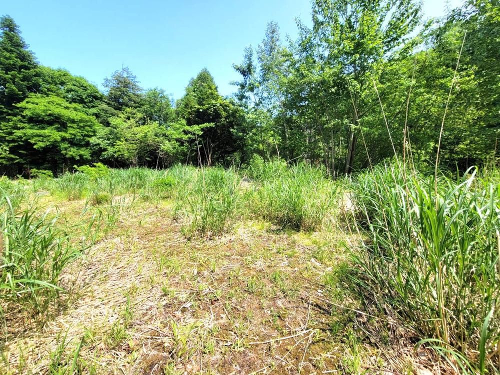 Land for Sale in Sapporo Minami Ward 2029 sqm - Thumbnail 2