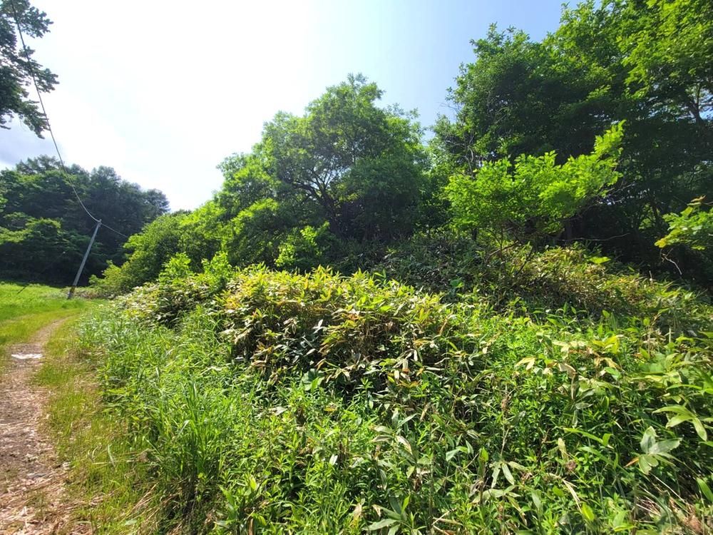 Land for Sale in Sapporo Minami Ward 2029 sqm - Thumbnail 4