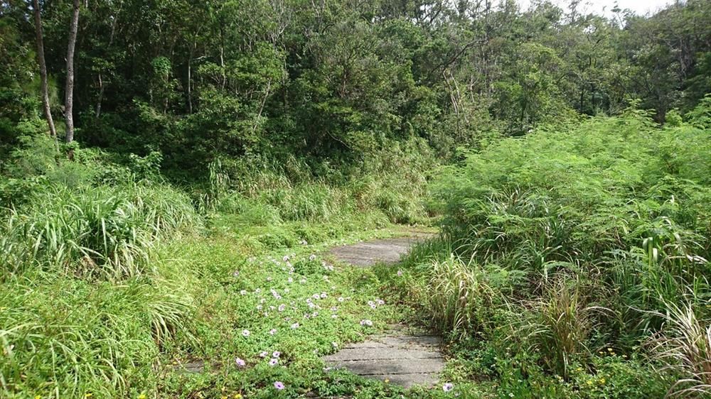 Land for Sale in Onna Village, Okinawa - 1148 sqm - Thumbnail 3