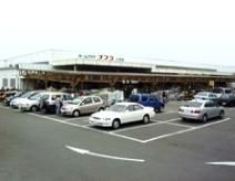 Land for Sale in Miyazaki City - 165.29 m² - Thumbnail 3