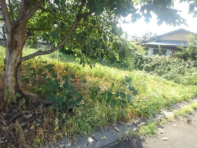 185m2 Vacant Land for Sale in Ashikaga, Tochigi - 7 Min Walk to Station - Thumbnail 2