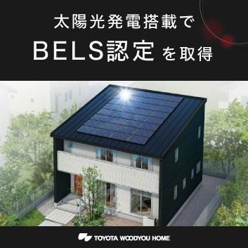 Building Condition Land for Sale in Tsukuba, Ibaraki - 36 Lots - Thumbnail 3