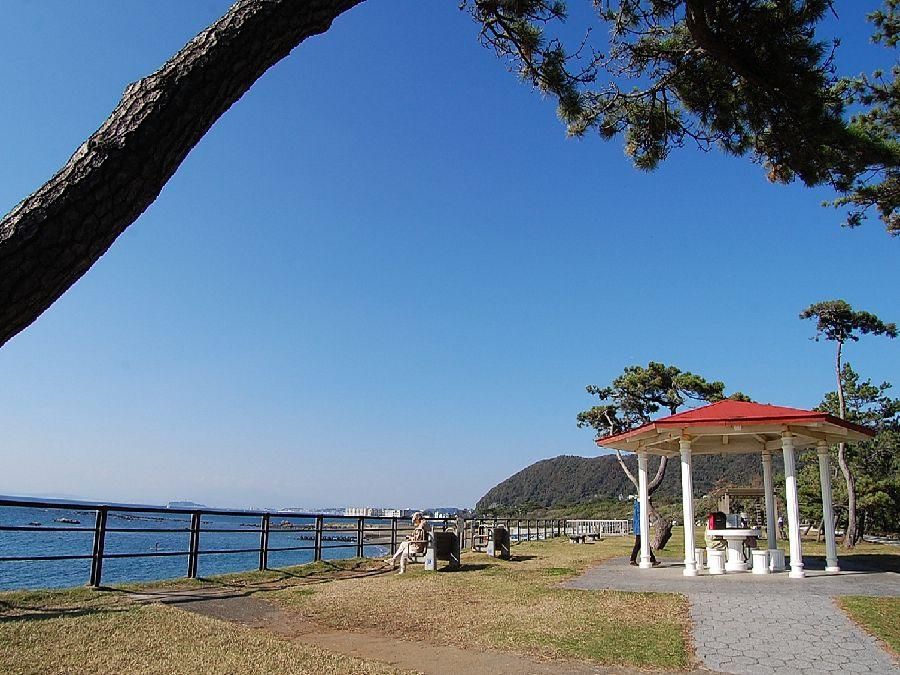 Land for Sale in Hayama, Kanagawa – 151 sqm Building Plot - Thumbnail 4