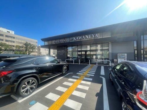 Land for Sale in Mito City, Ibaraki – 459m2 Plot - Thumbnail 2