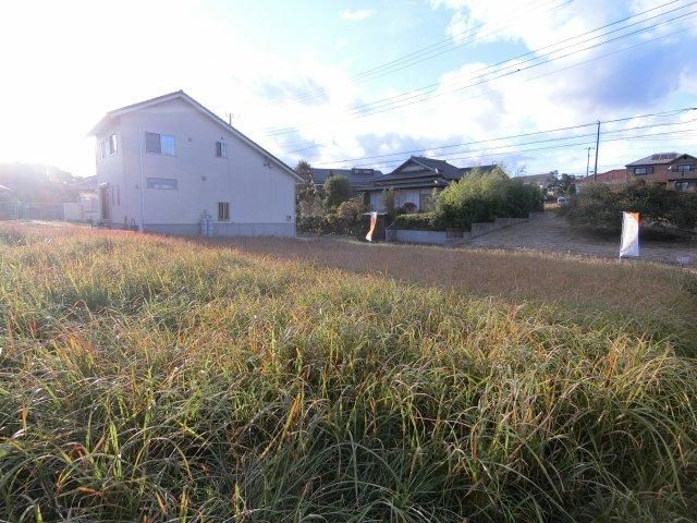 Land for Sale in Isumi City, Chiba - 400.47 sqm Flat Plot - Thumbnail 2