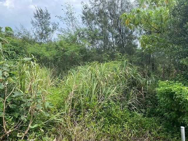 Land for Sale in Nago City, Okinawa - 2191 sqm - Thumbnail 3