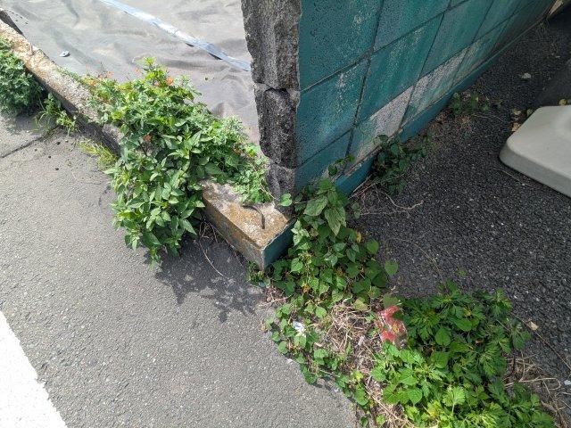 151.18 sqm Corner Land Plot for Sale near Katakai Station, Maebashi - Thumbnail 4