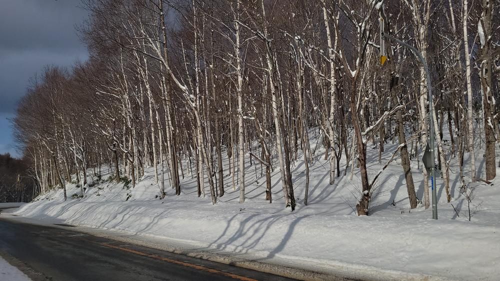 Land for Sale in Makomanai, Sapporo - 9,392 sqm - Thumbnail 2