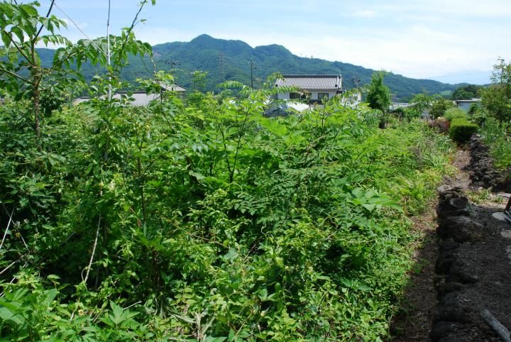 980m2 Land Plot for Sale in Miyota, Nagano - 22.5 Million Yen - Thumbnail 4