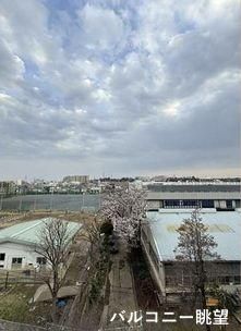 3LDK Apartment for Sale in Tama-ku, Kawasaki - 75.6m² - Thumbnail 3