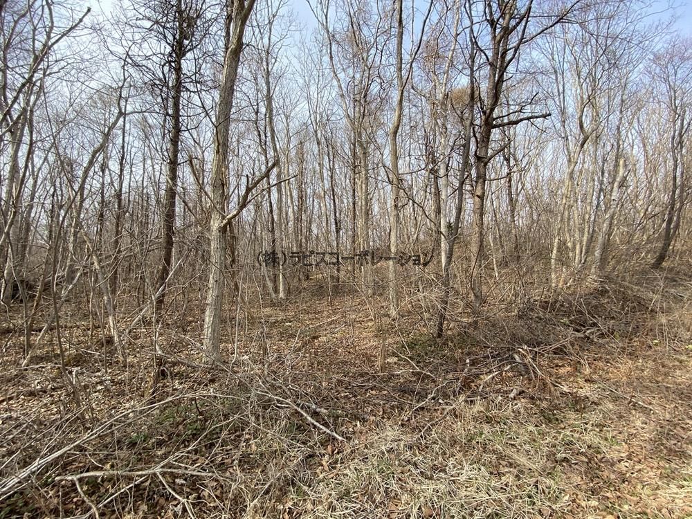 1000 sqm Vacant Land for Sale in Shikabe Town, Hokkaido - Thumbnail 2