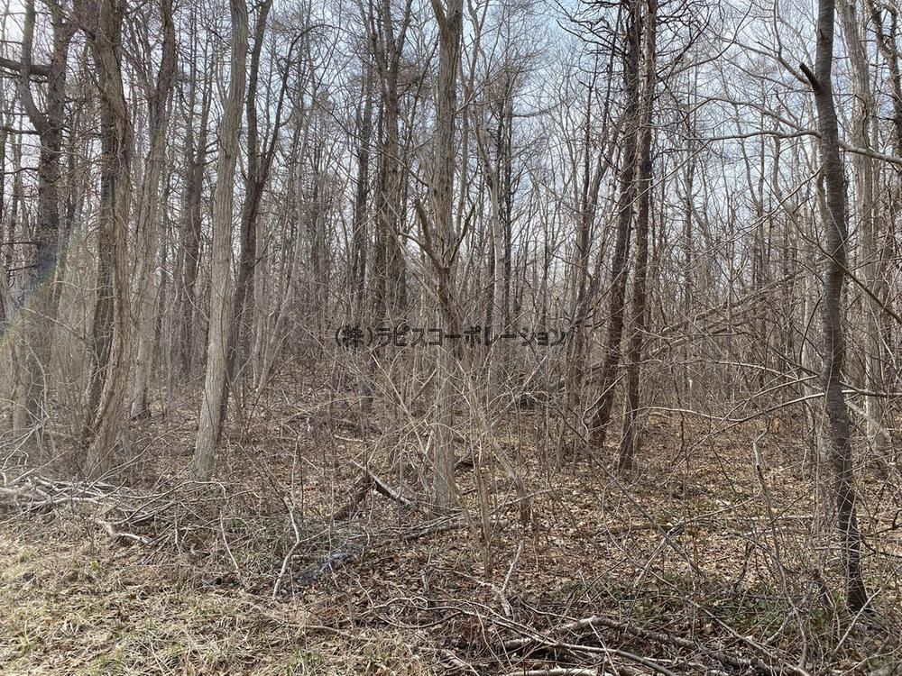 1000 sqm Vacant Land for Sale in Shikabe Town, Hokkaido - Thumbnail 3