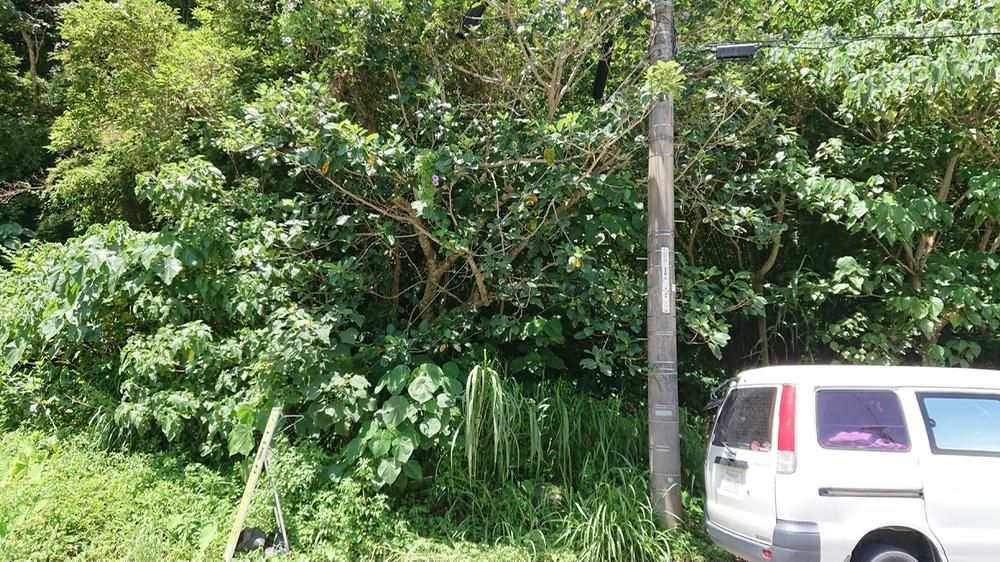 Land for Sale in Nago City, Okinawa - 452 sqm - Thumbnail 4