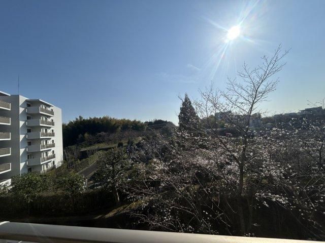 3LDK Apartment for Sale in Aoba-ku, Yokohama - Thumbnail 3