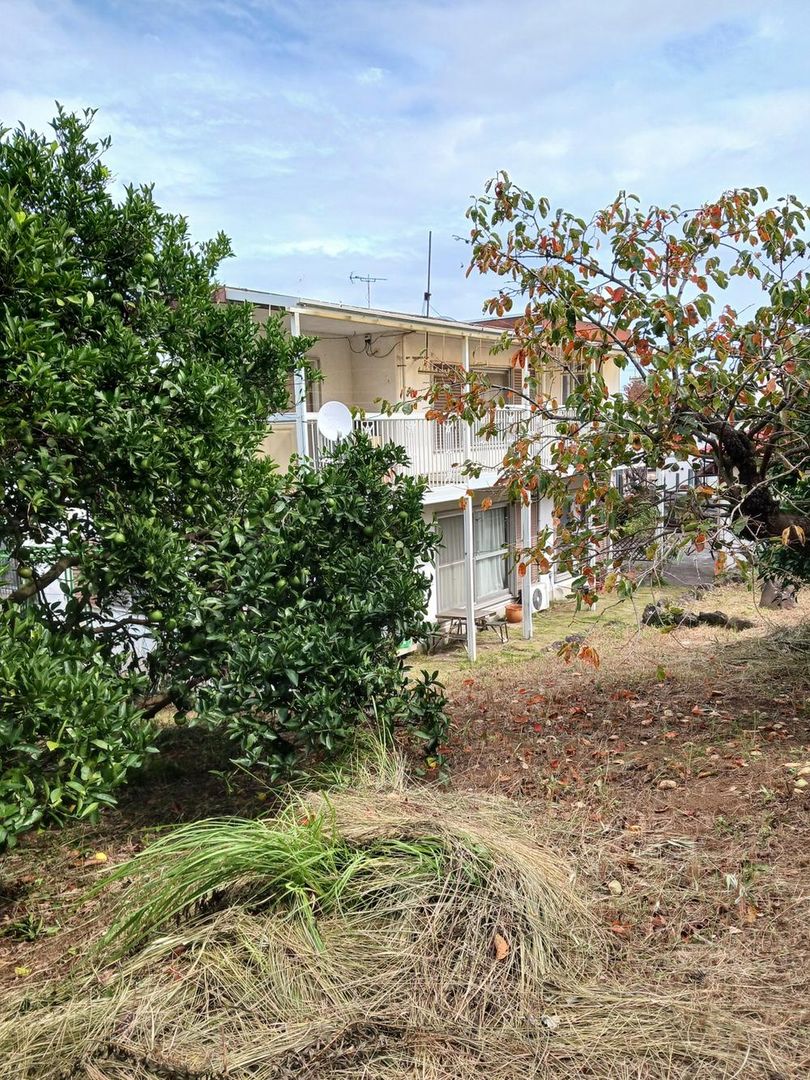 Land for Sale in Manazuru, Kanagawa - 994.46 sqm - Thumbnail 2