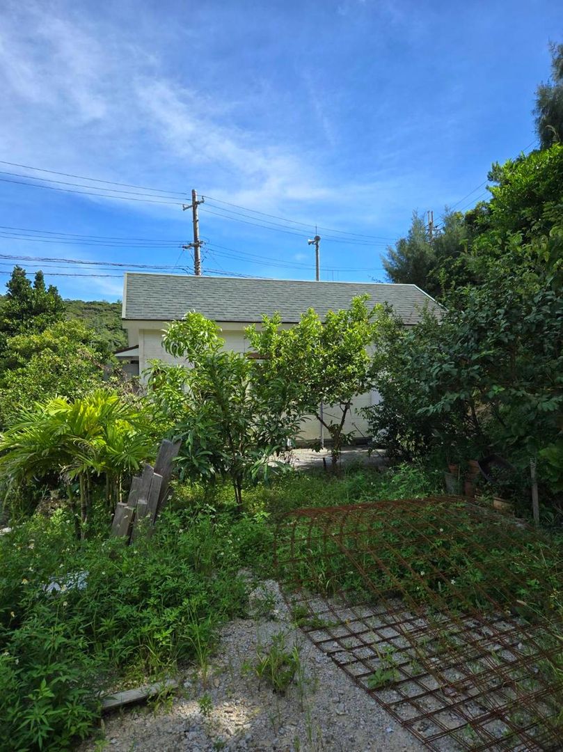 Large 1251m2 Land for Sale in Higashi Village, Okinawa - Thumbnail 3