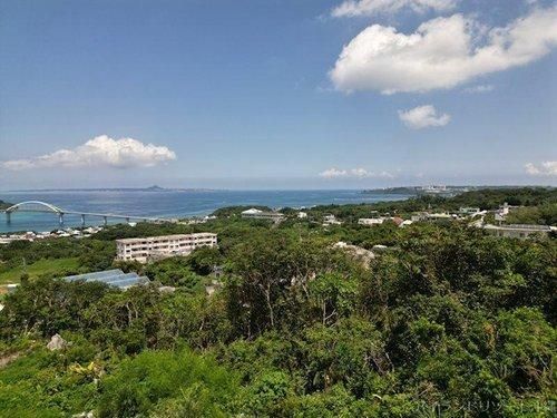 Land for Sale in Motobu, Okinawa - 1390 sqm - Thumbnail 3