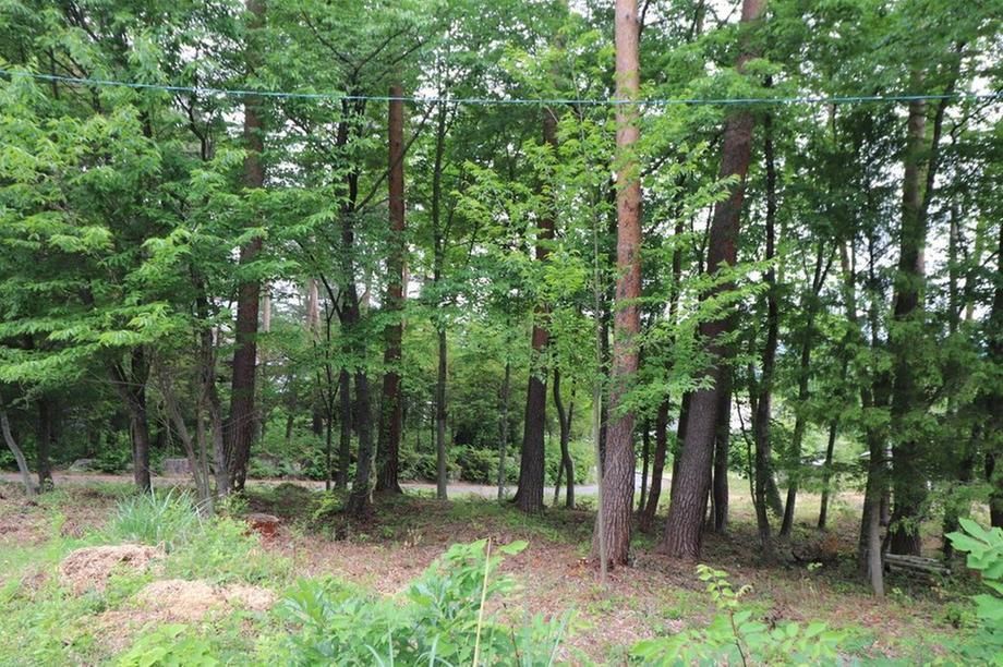 Land for Sale in Azumino City, Nagano - 1198 sqm - Thumbnail 2