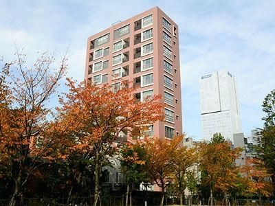 1LDK Penthouse Apartment for Sale in Akasaka, Minato, Tokyo - Thumbnail 2