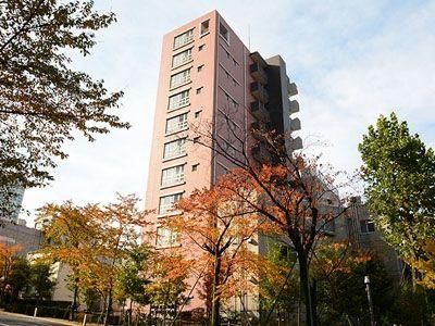 1LDK Penthouse Apartment for Sale in Akasaka, Minato, Tokyo - Image 1