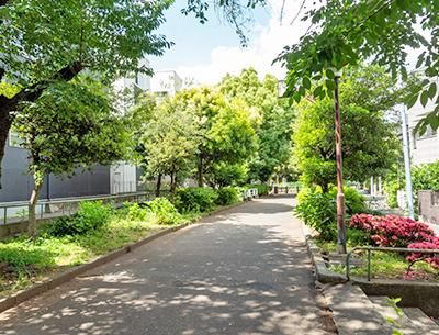 Land for Sale in Shibuya, Tokyo – 157m² Corner Lot near Yoyogi-Uehara - Thumbnail 2