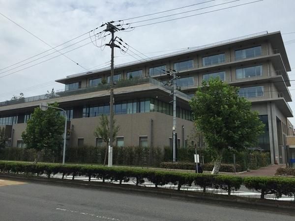 Land for Sale in Kainan City, Wakayama - 132.82 sqm - Thumbnail 2