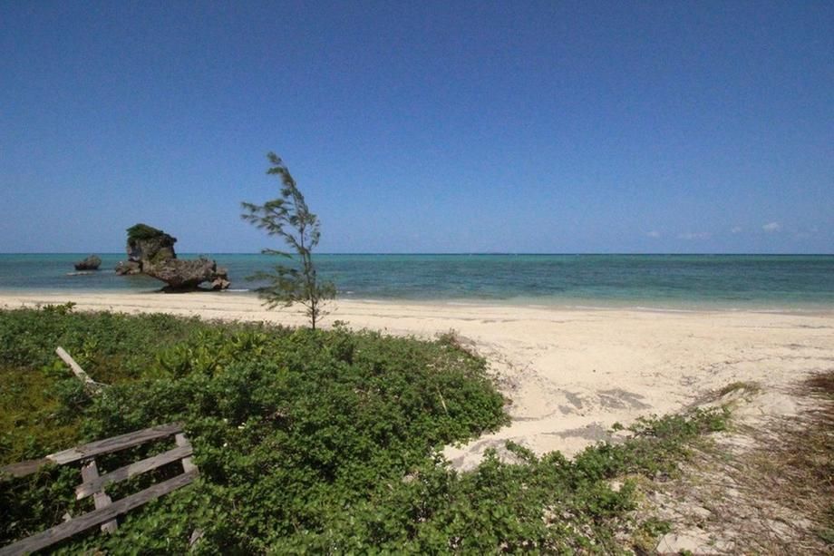 267 sqm Vacant Land for Sale in Motobu Town, Okinawa - Thumbnail 4