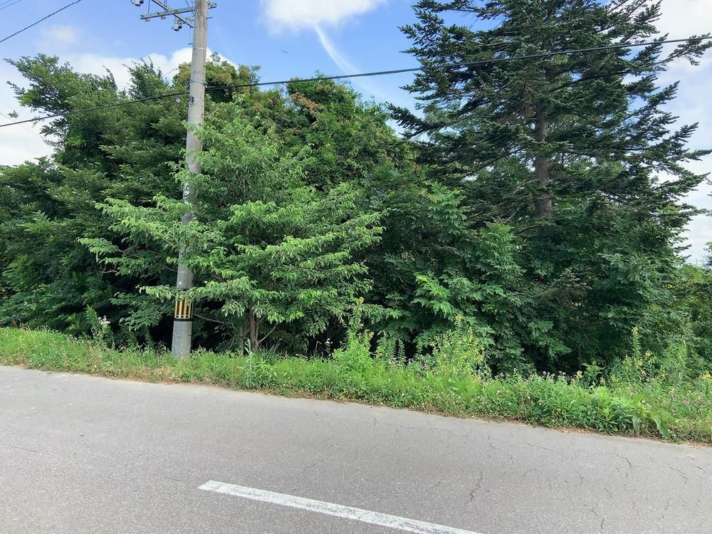 Land for Sale in Namporo, Hokkaido - 1918 sqm - Thumbnail 4
