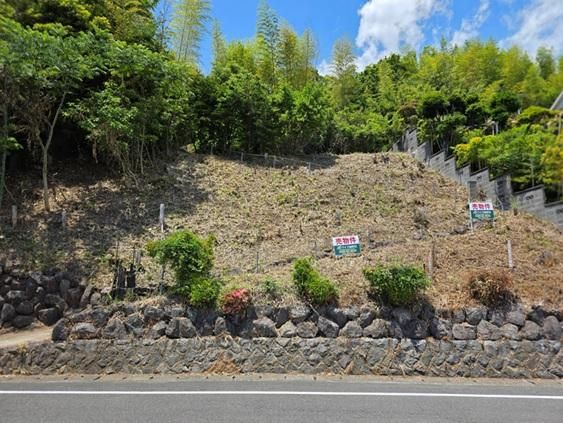 Land for Sale in Manazuru, Kanagawa - 1,234 sqm with Ocean View - Thumbnail 3