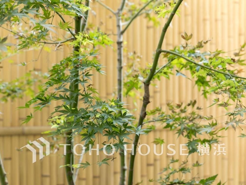 Land for Sale in Naka Ward, Yokohama - 55.6 sqm Near Hinodecho Station - Thumbnail 2