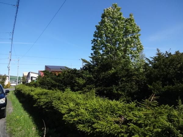 Land for Sale in Nayoro, Hokkaido - 399.92 sqm - Thumbnail 3
