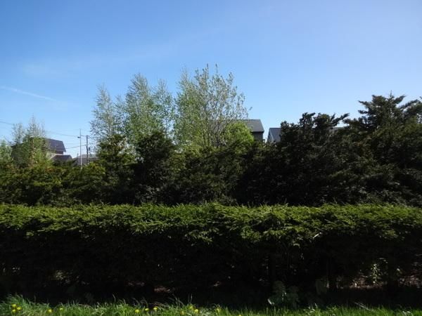 Land for Sale in Nayoro, Hokkaido - 399.92 sqm - Thumbnail 4