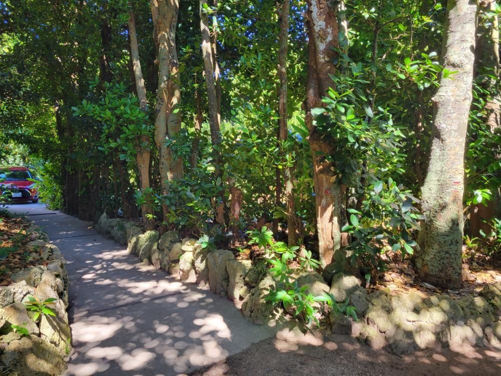 Land for Sale in Bise, Motobu, Okinawa - 416 sqm - Thumbnail 3