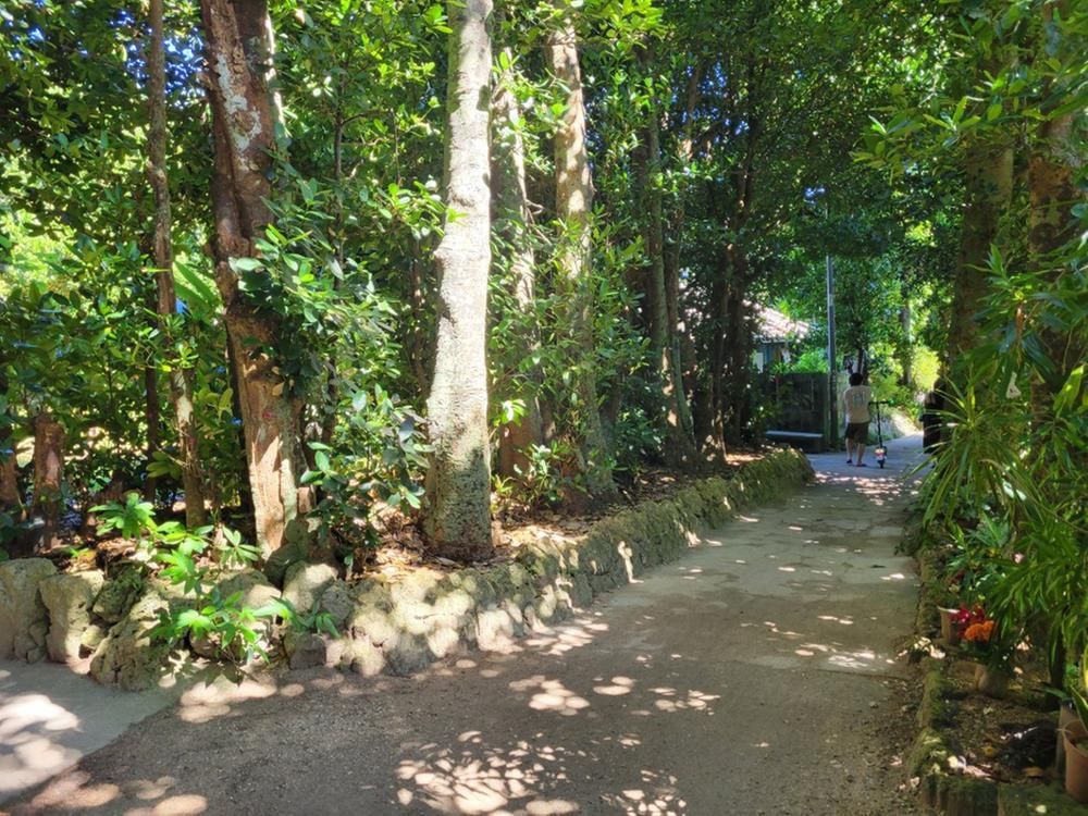 Land for Sale in Bise, Motobu, Okinawa - 416 sqm - Thumbnail 4
