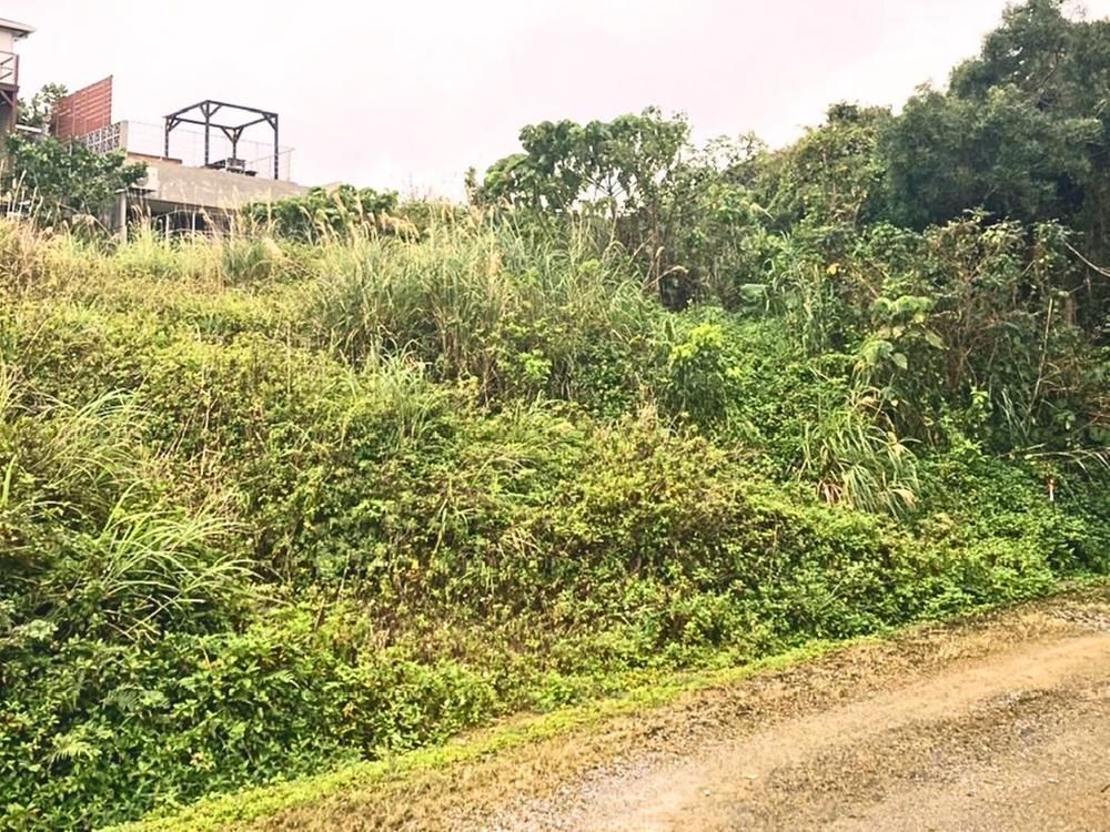 Land for Sale in Nakijin Village Okinawa 428 sqm - Thumbnail 3