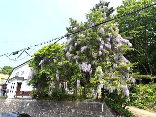 266 sqm Building Land for Sale in Toyohira, Sapporo - Thumbnail 2