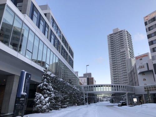 3LDK Apartment for Sale in New Sapporo, Sapporo - Thumbnail 3