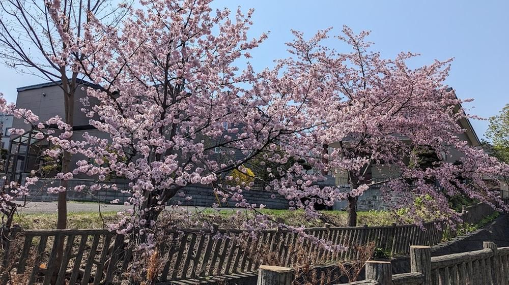 Land for Sale in Nishi-ku, Sapporo - 189 sqm - Thumbnail 3